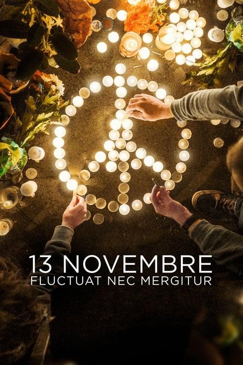 13 novembre : Fluctuat nec mergitur en streaming