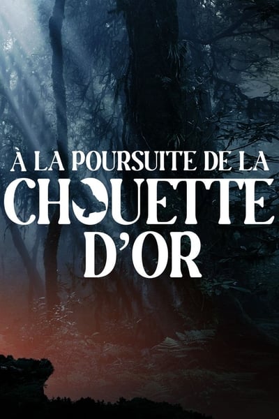 A La Poursuite de la Chouette d'or en streaming