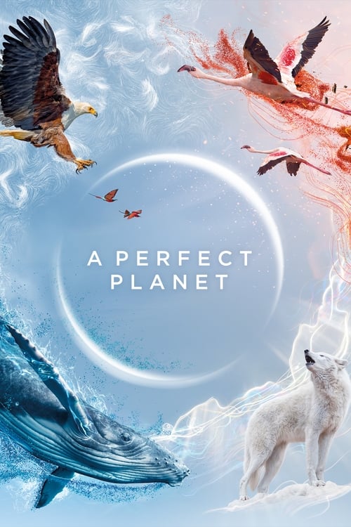 A Perfect Planet - Saison 1 épisode 2 en streaming