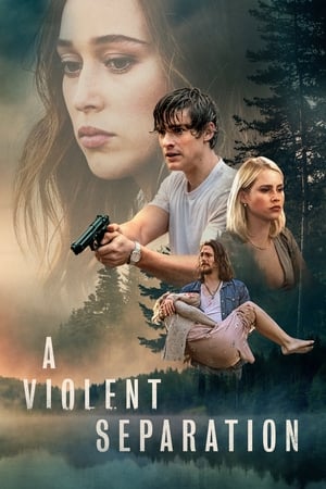 A Violent Separation en streaming