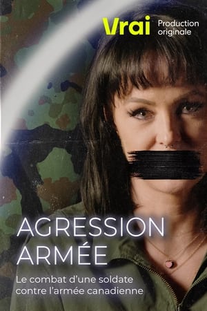 Agression armée en streaming