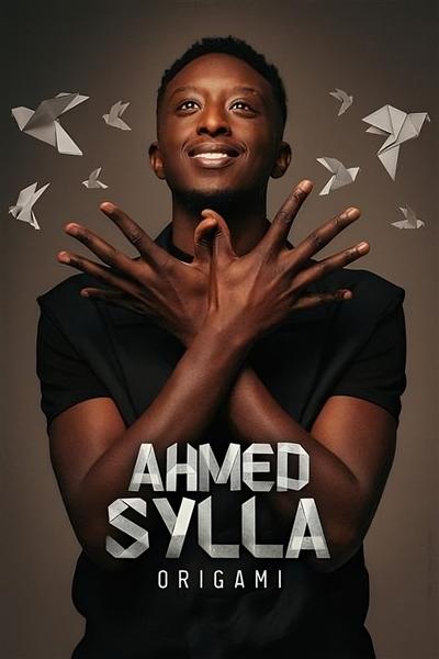 Ahmed Sylla : Origami