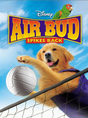 Airbud 5 : superstar en streaming