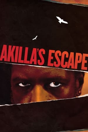 Akilla's Escape en streaming