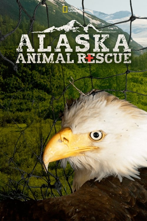 Alaska Animal Rescue - Saison 1 en streaming