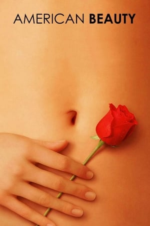 American Beauty en streaming