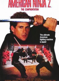 American Ninja 2 : The Confrontation en streaming