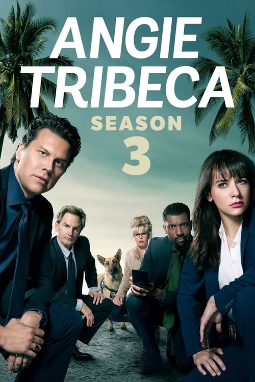 Angie Tribeca en streaming