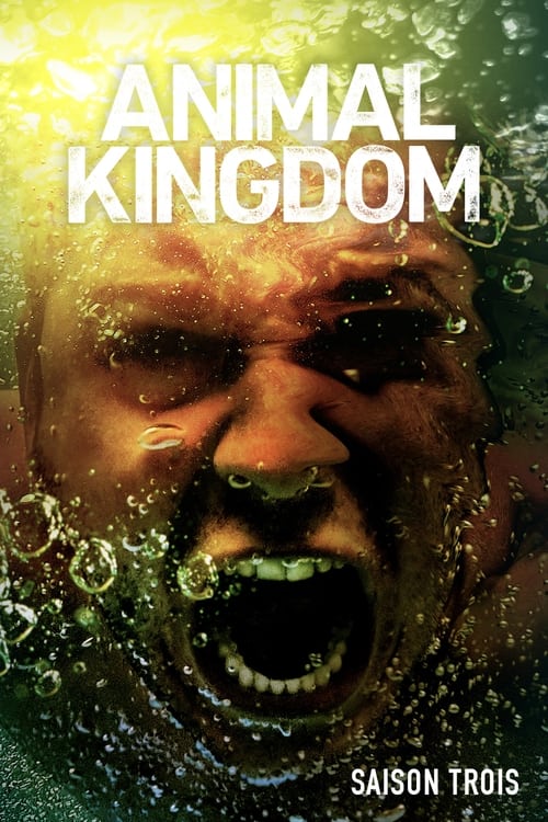 Animal Kingdom en streaming