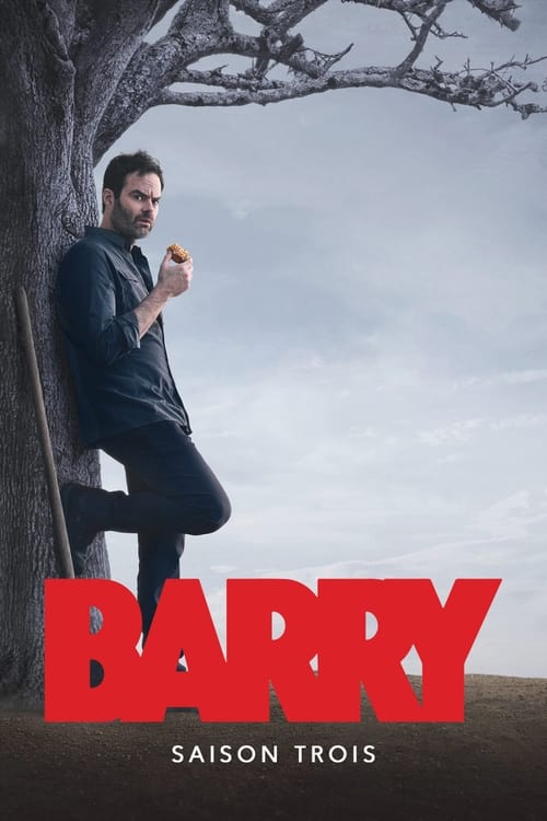 Barry en streaming