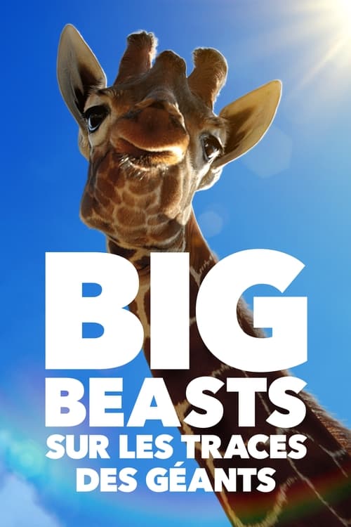 Big Beasts en streaming