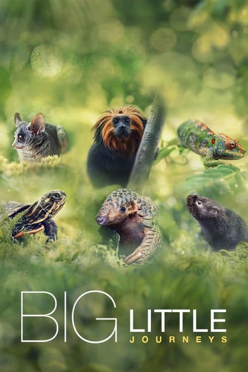 Big Little Journeys - Saison 1 en streaming