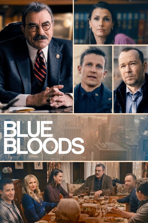 Blue Bloods - Saison 13 en streaming