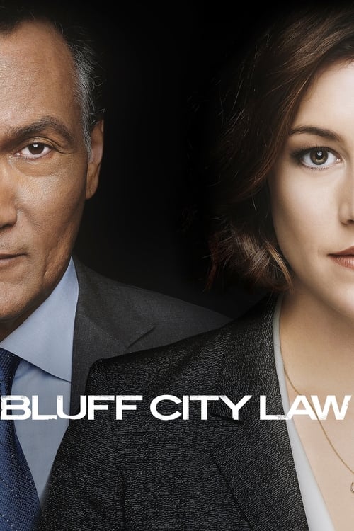 Bluff City Law en streaming