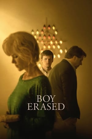 Boy Erased en streaming