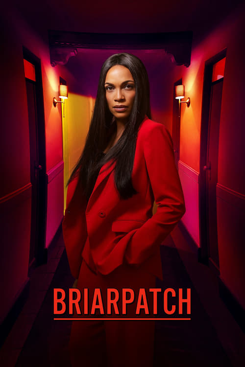 Briarpatch en streaming