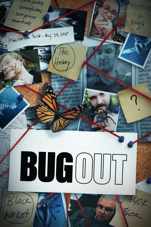 Bug Out en streaming