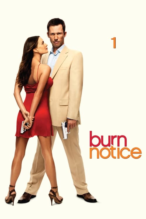 Burn Notice en streaming