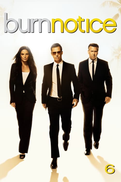 Burn Notice - Saison 6