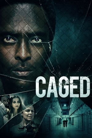 En cage en streaming