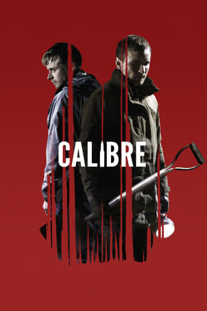 Calibre en streaming