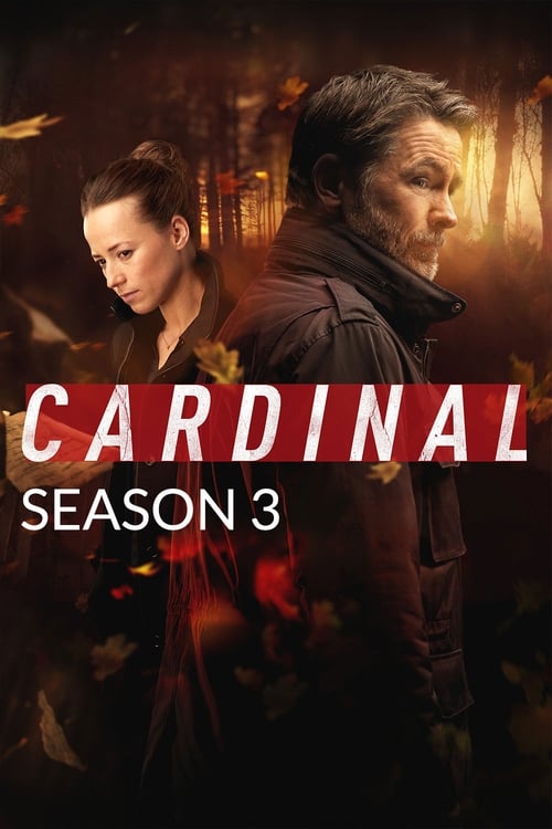 Cardinal - Saison 3 en streaming