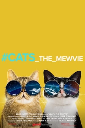 #Cats_the_mewvie en streaming