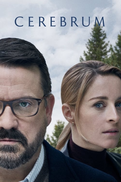 Cerebrum - Saison 1 en streaming