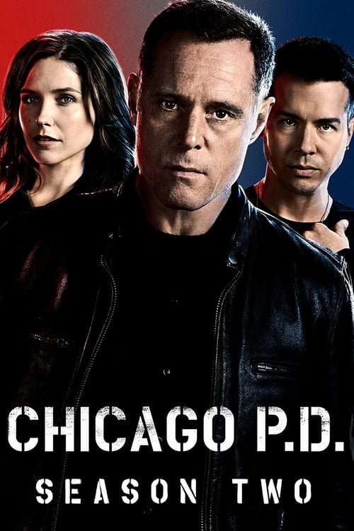 Chicago PD - Saison 2