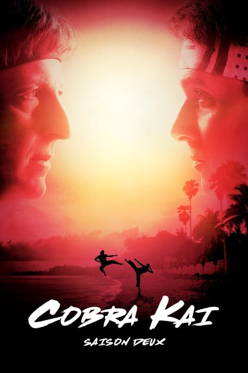 Cobra Kai - Saison 2 épisode 10 en streaming