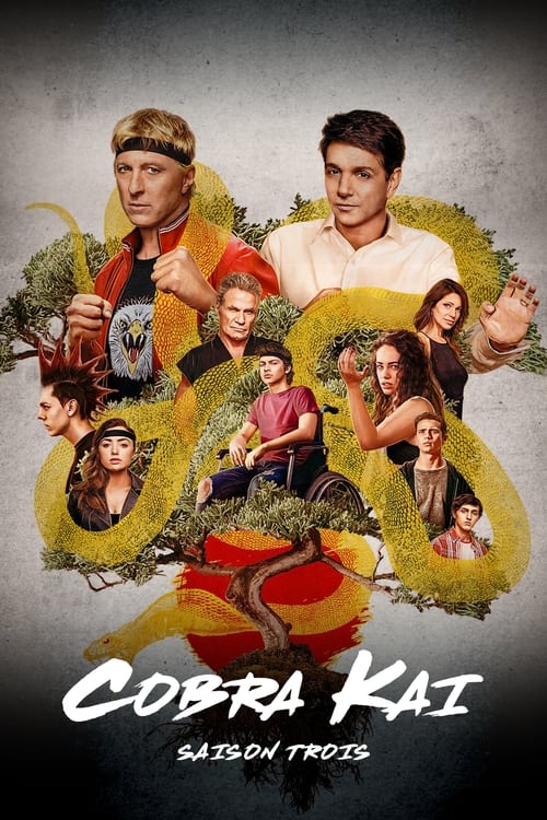 Cobra Kai - Saison 3 épisode 10 en streaming