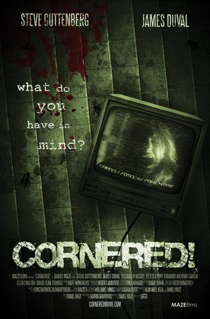 Cornered en streaming