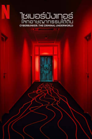 Cyberbunker: Darknet in Deutschland en streaming