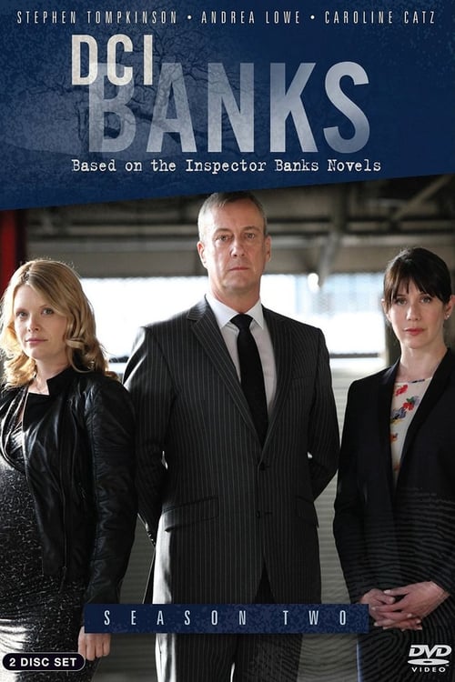 DCI Banks - Saison 2 en streaming