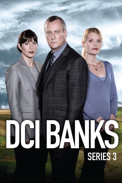 DCI Banks - Saison 3 en streaming