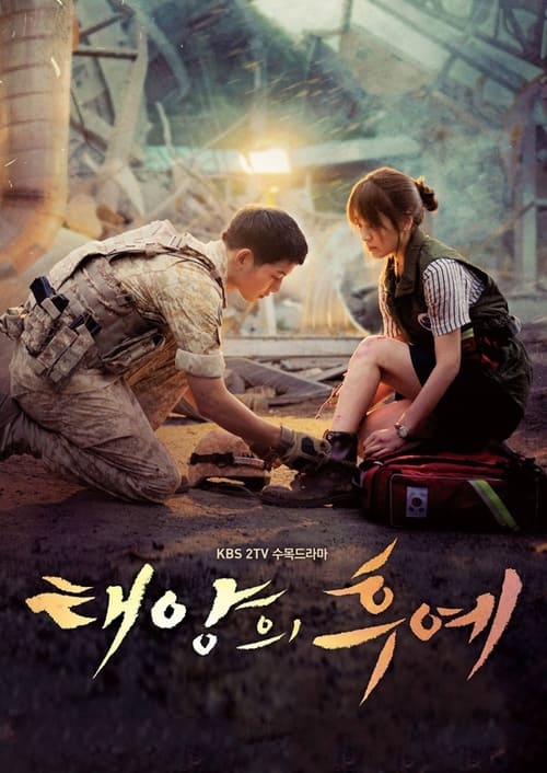 Descendants of the Sun en streaming