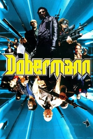 Dobermann en streaming