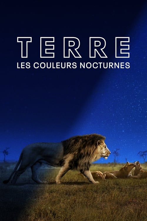 Terre : Les Couleurs Nocturnes - Saison 1 en streaming