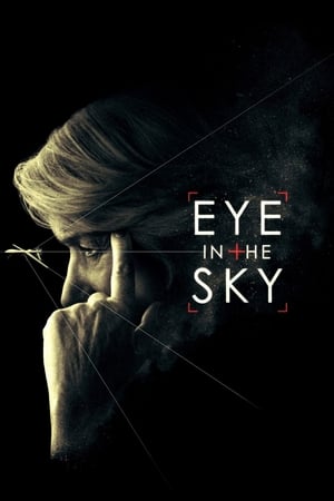 Eye in the Sky en streaming