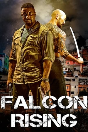 Falcon Rising en streaming