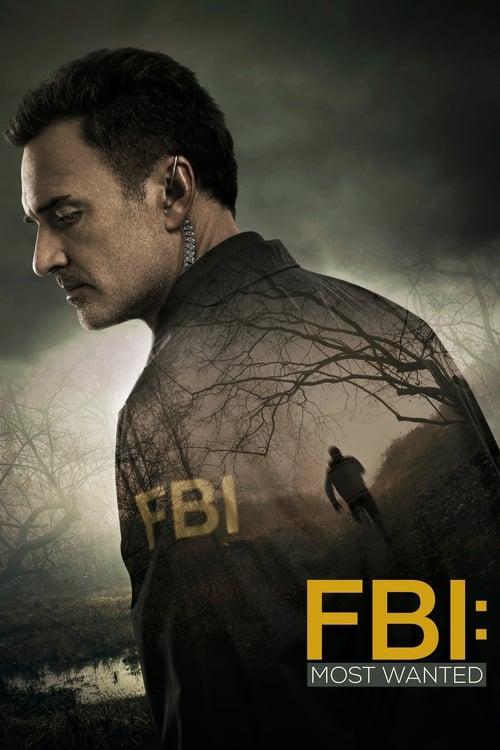 FBI: Most Wanted - Saison 1 en streaming