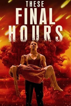 Final Hours en streaming