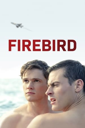 Firebird en streaming