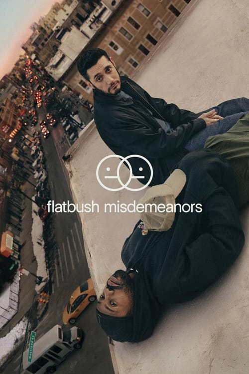 Flatbush Misdemeanors - Saison 1 en streaming