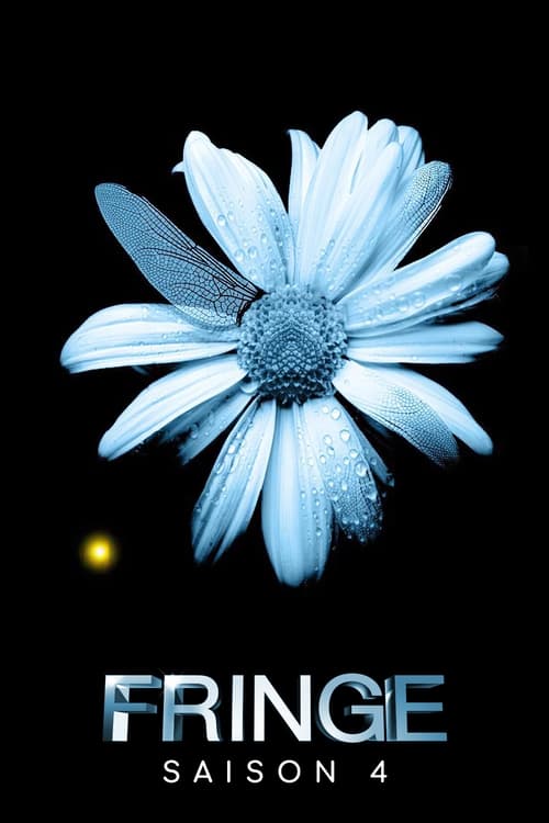 Fringe - Saison 4 en streaming