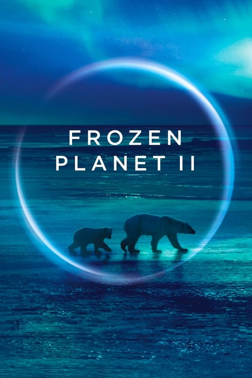 Frozen Planet II - Saison 1 en streaming