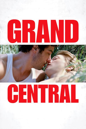 Grand Central en streaming