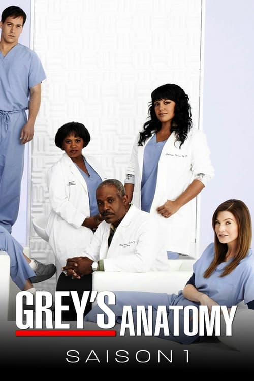 Grey's Anatomy en streaming