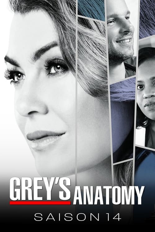 Grey's Anatomy