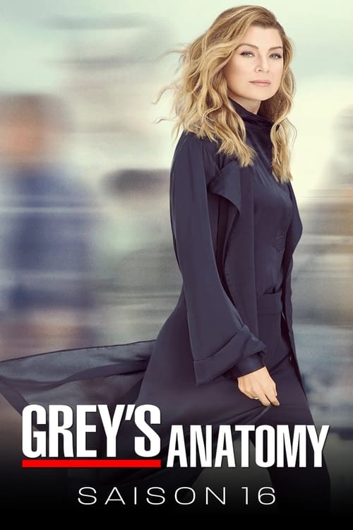 Grey's Anatomy - Saison 16